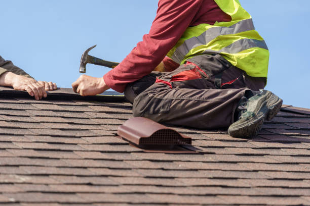 Best New Roof Installation  in Cass City, MI