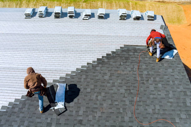 Best Local Roofing Companies  in Cass City, MI