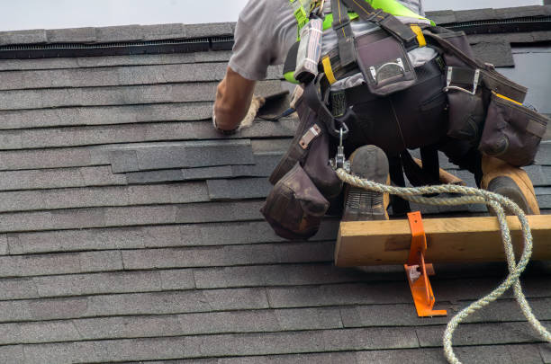 Best Flat Roof Repair Services  in Cass City, MI