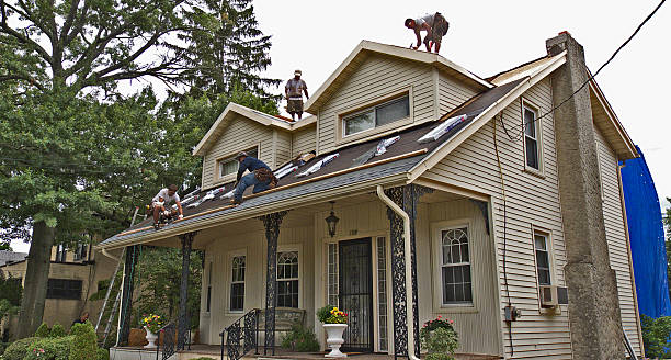 Best Local Roofing Companies  in Cass City, MI