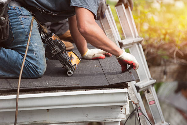 Best Flat Roof Repair Services  in Cass City, MI