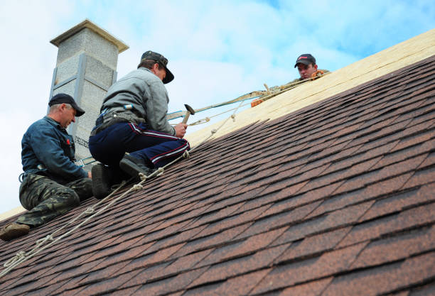 Best Storm Damage Roof Repair  in Cass City, MI