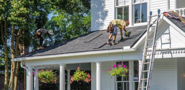 Best New Roof Installation  in Cass City, MI
