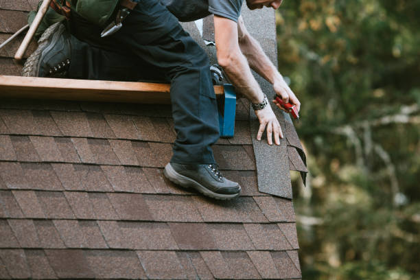 Best Storm Damage Roof Repair  in Cass City, MI